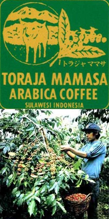 インドネシアスラウェシ島・トラジャーママサ200ｇ