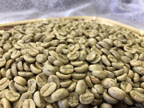 那古野シリーズ　ケニア≪マサイAA≫500g