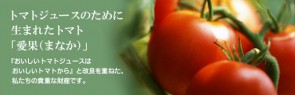 ナガノ《信州生まれのおいしいトマト》トマトジュース【食塩無添加】新物入荷