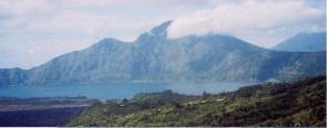 インドネシア　バリ・アラビカ『神山』